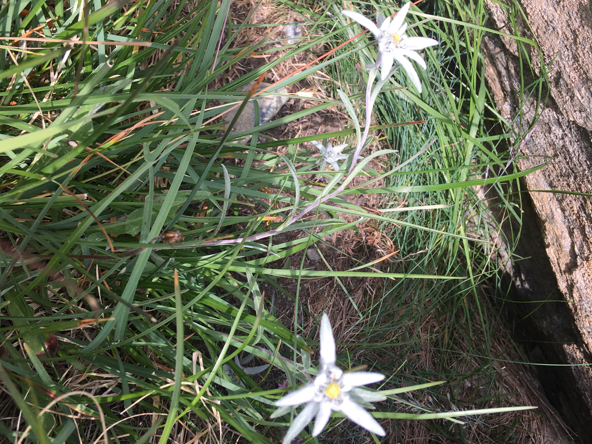 blog 2 4