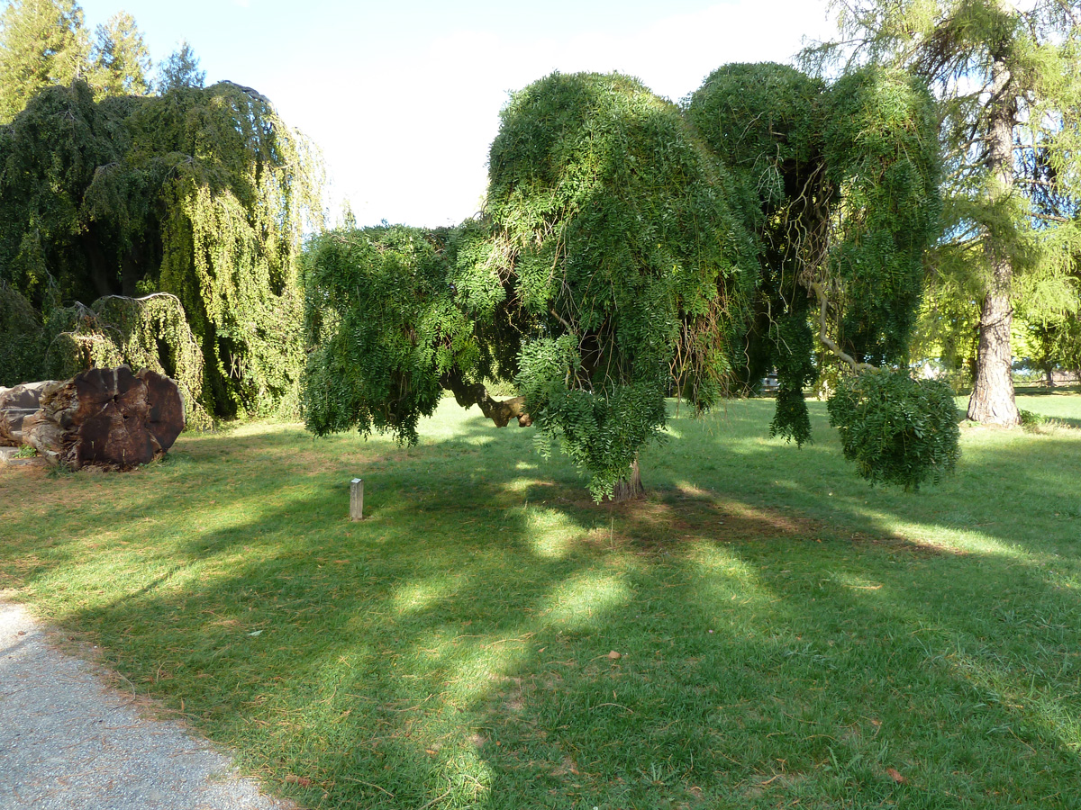 seeburgpark 1